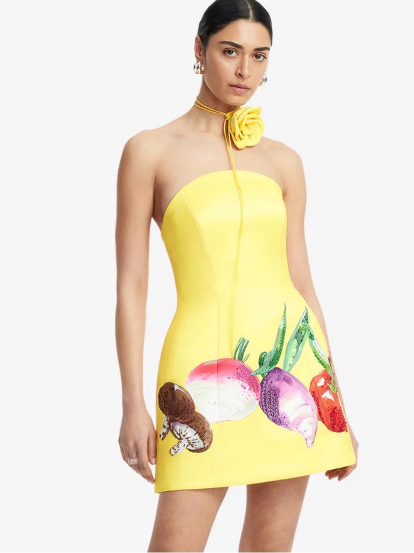 Leo Lin Zaria Bustier Mini Dress Harvest Print
